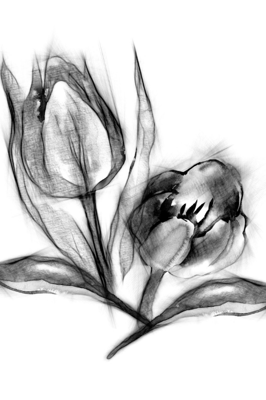 Profilbild von Ruth Kramer