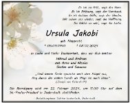 eine Anzeige