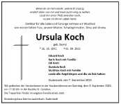 eine Anzeige